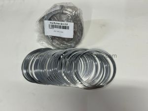 Karsan 6 Ana Rulman Şimi 0 K22N187