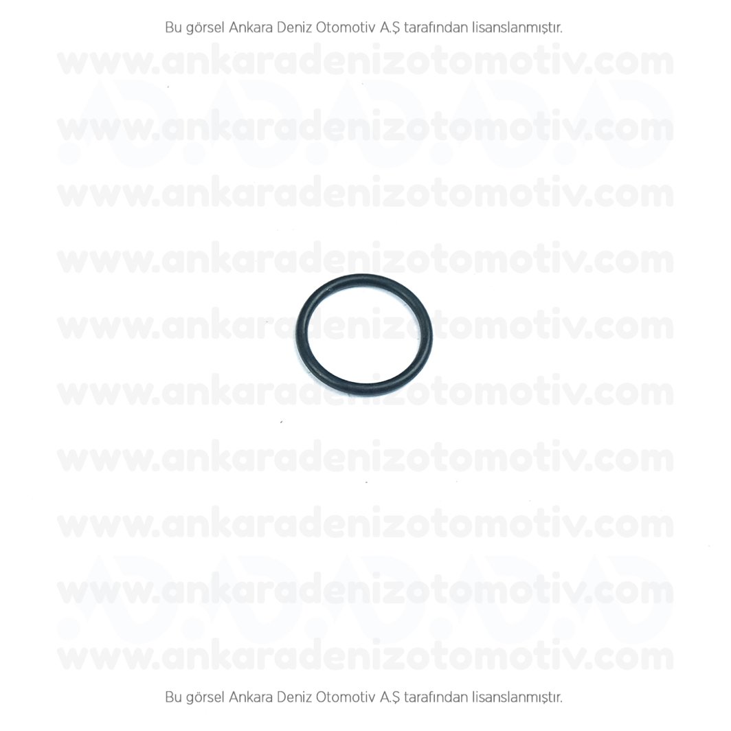 Karsan O-Ring Atak/Star 1010238AA