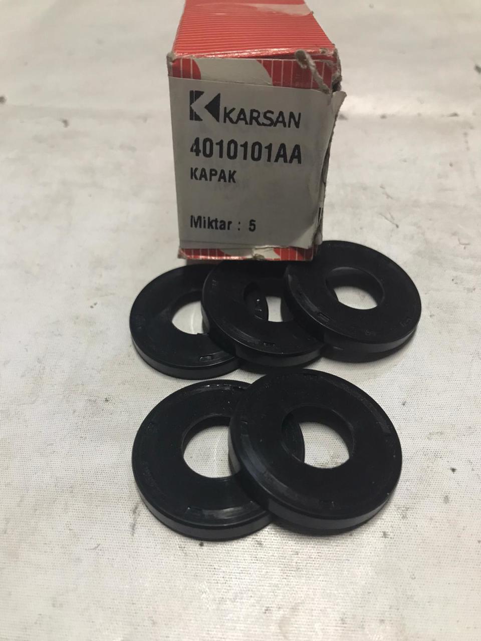 Karsan Kapak 4010101AA