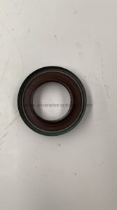 KUYRUK KEÇESİ PRİZDİREK NN KÜÇÜK TİP 47.60X80.14X9.7 (55X80X8-12