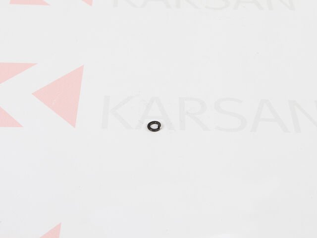 Karsan Yay Pulu 1010728AA