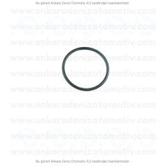 Iveco Daily 35.10 O-Ring